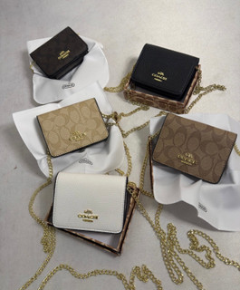مینی بگ زنانه برند کوچ